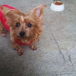 Meet your Posher, Cathy